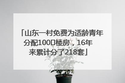 山东一村免费为适龄青年分配100㎡楼房，16年来累计分了218套