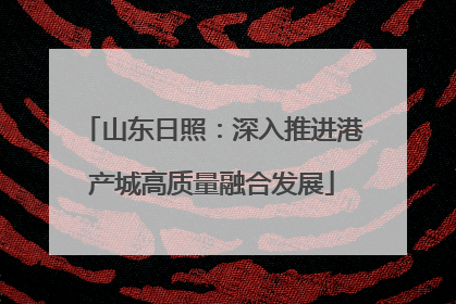 山东日照：深入推进港产城高质量融合发展