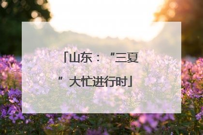 山东：“三夏”大忙进行时
