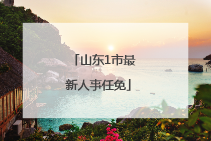 山东1市最新人事任免