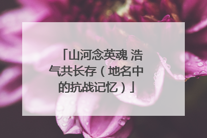 山河念英魂 浩气共长存（地名中的抗战记忆）