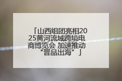 山西组团亮相2025黄河流域跨境电商博览会 加速推动“晋品出海”