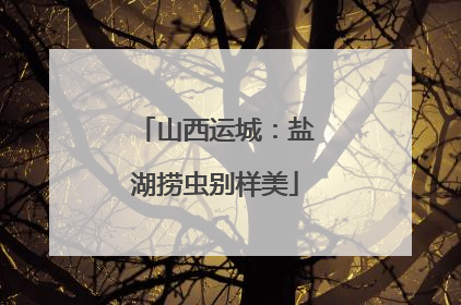 山西运城：盐湖捞虫别样美