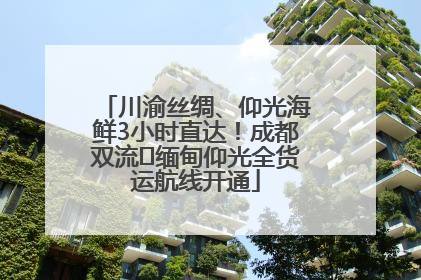 川渝丝绸、仰光海鲜3小时直达！成都双流⇌缅甸仰光全货运航线开通