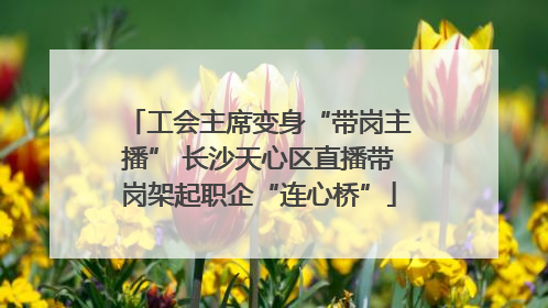 工会主席变身“带岗主播” 长沙天心区直播带岗架起职企“连心桥”
