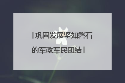 巩固发展坚如磐石的军政军民团结