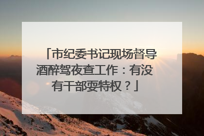 市纪委书记现场督导酒醉驾夜查工作：有没有干部耍特权？