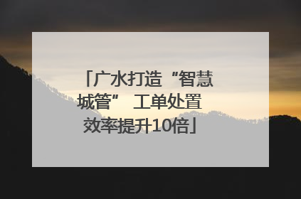 广水打造“智慧城管” 工单处置效率提升10倍