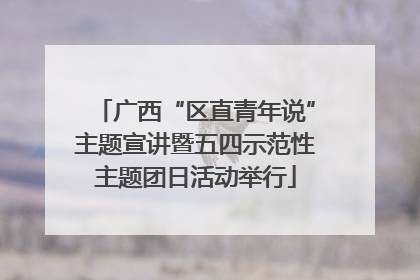 广西“区直青年说”主题宣讲暨五四示范性主题团日活动举行