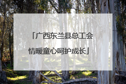 广西东兰县总工会情暖童心呵护成长