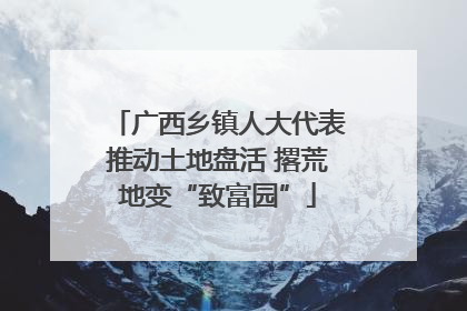广西乡镇人大代表推动土地盘活 撂荒地变“致富园”