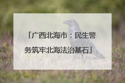 广西北海市：民生警务筑牢北海法治基石