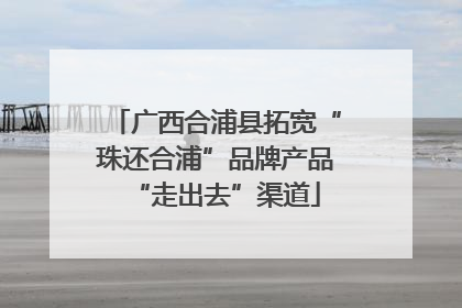 广西合浦县拓宽“珠还合浦”品牌产品“走出去”渠道