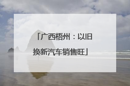 广西梧州：以旧换新汽车销售旺