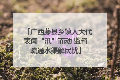 广西藤县乡镇人大代表闻“汛”而动 监督疏通水渠解民忧