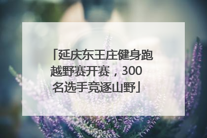延庆东王庄健身跑越野赛开赛，300名选手竞逐山野