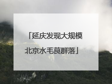 延庆发现大规模北京水毛茛群落