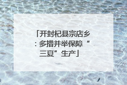 开封杞县宗店乡：多措并举保障“三夏”生产
