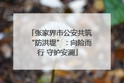 张家界市公安共筑“防洪堤”：向险而行 守护安澜