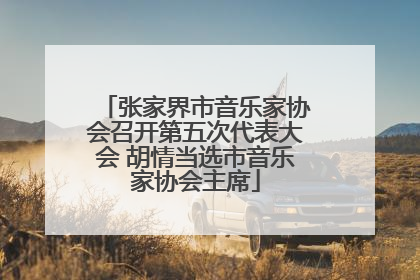 张家界市音乐家协会召开第五次代表大会 胡情当选市音乐家协会主席