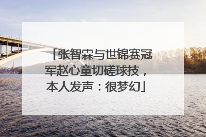 张智霖与世锦赛冠军赵心童切磋球技，本人发声：很梦幻