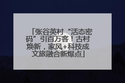 张谷英村“活态密码”引百万客！古村焕新，家风+科技成文旅融合新爆点