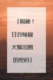 揭秘！甘谷辣椒火爆出圈的密码