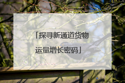 探寻新通道货物运量增长密码