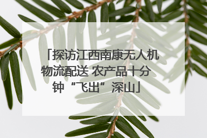 探访江西南康无人机物流配送 农产品十分钟“飞出”深山