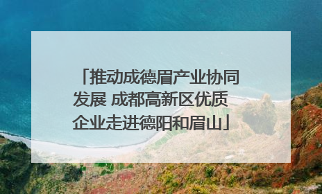 推动成德眉产业协同发展 成都高新区优质企业走进德阳和眉山