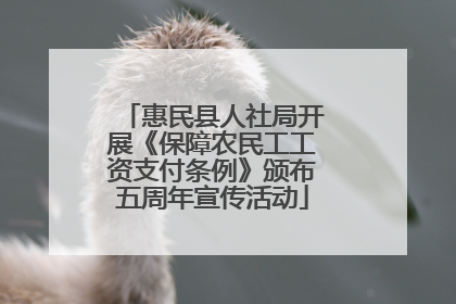 惠民县人社局开展《保障农民工工资支付条例》颁布五周年宣传活动