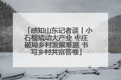 感知山东记者谈丨小石榴撬动大产业 枣庄破局乡村发展难题 书写乡村共富答卷