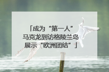 成为“第一人” 马克龙到访格陵兰岛展示“欧洲团结”