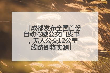 成都发布全国首份自动驾驶公交白皮书，无人公交12公里线路即将实测