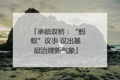 承德双桥：“蚂蚁”议事 议出基层治理新气象