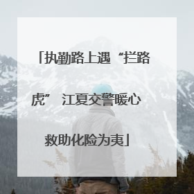 执勤路上遇“拦路虎” 江夏交警暖心救助化险为夷