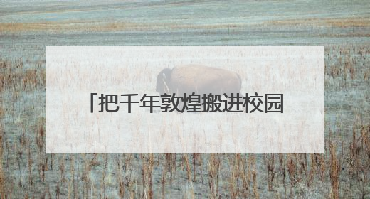 把千年敦煌搬进校园，上海静安首个“一平米博物馆”落地