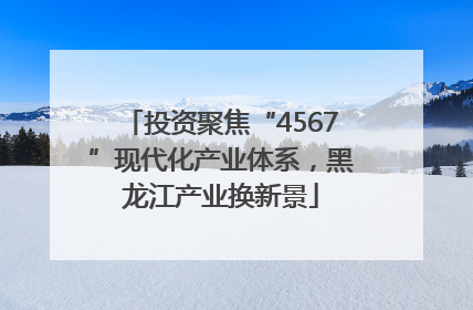 投资聚焦“4567”现代化产业体系，黑龙江产业换新景