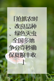 抢抓农时、改良品种、绿色灭虫 全国多地争分夺秒确保夏粮丰收