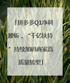 拼多多Q1净利腰斩，“千亿扶持”持续加码商家高质量转型