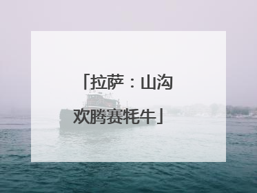 拉萨：山沟欢腾赛牦牛