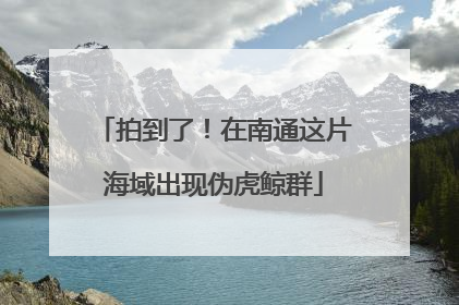 拍到了！在南通这片海域出现伪虎鲸群