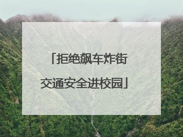 拒绝飙车炸街 交通安全进校园