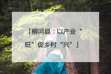 柳河县：以产业“旺”促乡村“兴”
