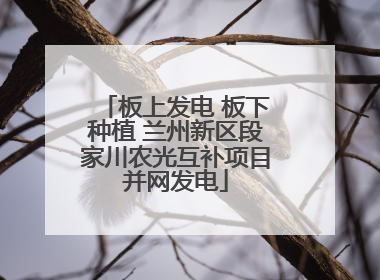 板上发电 板下种植 兰州新区段家川农光互补项目并网发电
