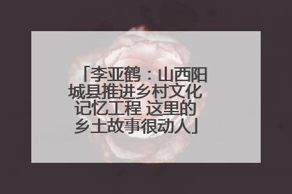 李亚鹤：山西阳城县推进乡村文化记忆工程 这里的乡土故事很动人