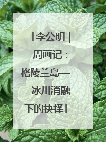 李公明｜一周画记：格陵兰岛——冰川消融下的抉择