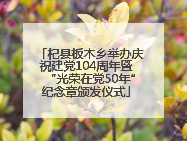 杞县板木乡举办庆祝建党104周年暨“光荣在党50年”纪念章颁发仪式