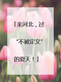 来河北，过“不被定义”的夏天！