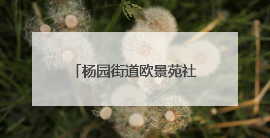 杨园街道欧景苑社区开展“寻根城市发展 践行初心使命”主题党日活动
